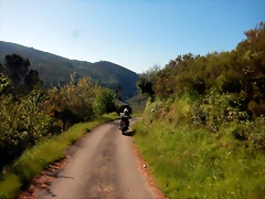 DSCN5445 DSCN5445