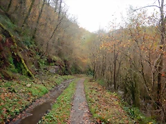 DSCN3113 DSCN3113