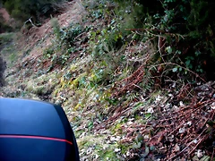 DSCN3018 DSCN3018