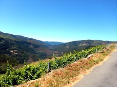 DSCN3917 DSCN3917
