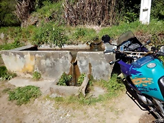 DSCN0036 DSCN0036