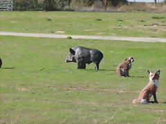 CIMG0499_a CIMG0499_a