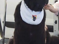 CIMG0500_a CIMG0500_a