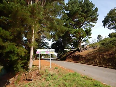 DSCN0150 DSCN0150