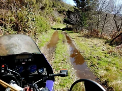 DSCN3754 DSCN3754