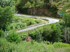 65-IMG_1536 65-IMG_1536