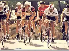 PARIS NICE-1978-ZOETEMELK-HINAULT