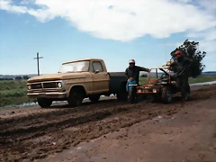 img013 img013