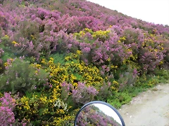 IMG_2880 IMG_2880