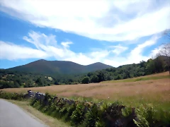 DSCN8262 DSCN8262