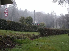 DSCN7455 DSCN7455