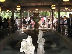 IMG_1234