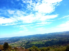 DSCN2611