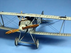 Pfalz C1