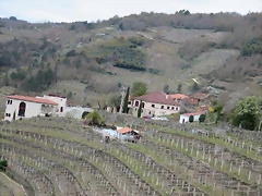 s abadia da cova s abadia da cova