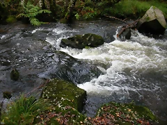 DSCN5778 DSCN5778