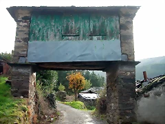 DSCN6258 DSCN6258