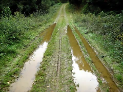IMG_0239 IMG_0239