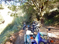 DSCN8965 DSCN8965