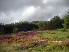 DSCN8400 DSCN8400