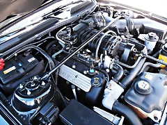 P3230853 P3230853