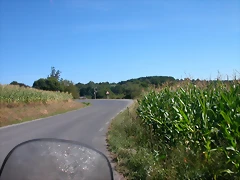 DSCN1686 DSCN1686