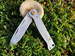 IMG_20240129_164831