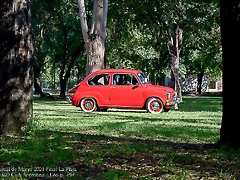 DSC_6653 DSC_6653