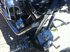 IMG_1251 IMG_1251