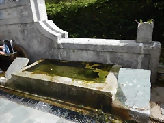 DSCN9306
