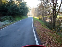 62-IMG_4317
