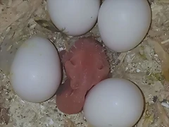 FB_IMG_1574040280074 FB_IMG_1574040280074