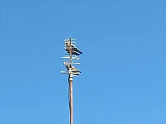 WP_20170121_15_41_34_Pro WP_20170121_15_41_34_Pro