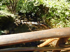 DSCN0117'4 DSCN0117'4