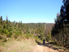 DSCN4909 DSCN4909