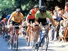 1979,TOUR DE FRANCIA