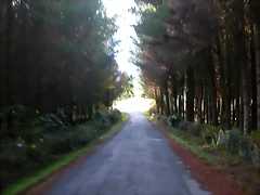 DSCN6406 DSCN6406