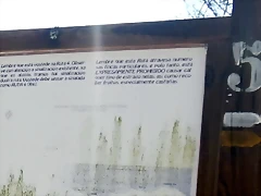 DSCN3799 DSCN3799