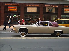 NY HOT ROD DORADO