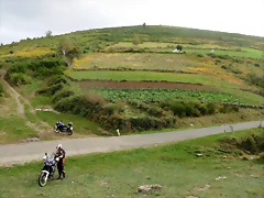 IMG_4689 IMG_4689