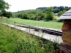DSCN4418 DSCN4418