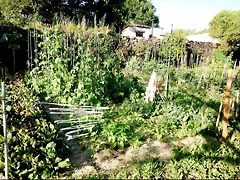 DSCN6818 DSCN6818