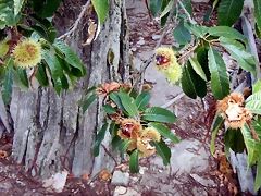 DSCN1343