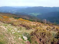 reglaje 015 reglaje 015