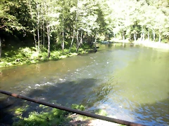 DSCN8667 DSCN8667