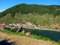 DSCN4220 DSCN4220
