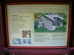 DSCN2110 DSCN2110
