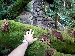 DSCN5853 DSCN5853
