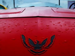 DSC_0766 DSC_0766
