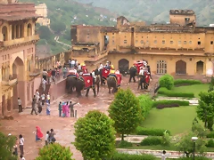 504 Amber Fort